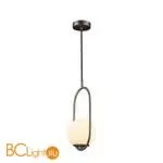 Подвесной светильник LOFT IT Glob LOFT2595-B - Фото 2