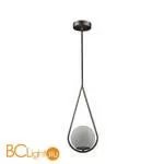 Подвесной светильник LOFT IT Glob LOFT2599-B