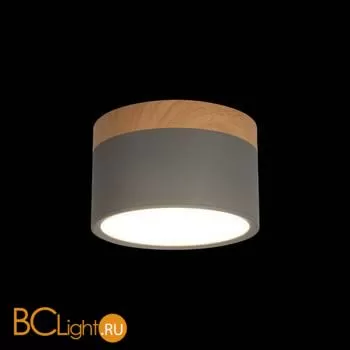 10162 Grey Накладной светильник LOFT IT Grape - Фото 0