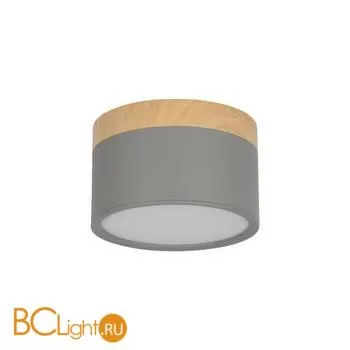 10162 Grey Накладной светильник LOFT IT Grape