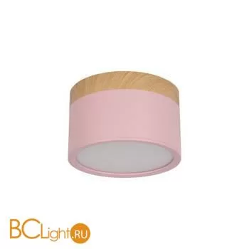 10162 Pink Накладной светильник LOFT IT Grape