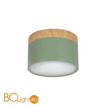 10162 Green Накладной светильник LOFT IT Grape