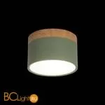 10162 Green Накладной светильник LOFT IT Grape - Фото 0