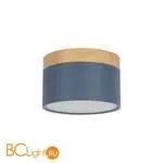 10162 Blue Накладной светильник LOFT IT Grape