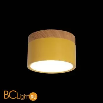 10162 Yellow Накладной светильник LOFT IT Grape - Фото 0