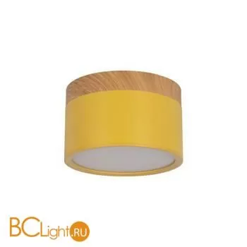 10162 Yellow Накладной светильник LOFT IT Grape