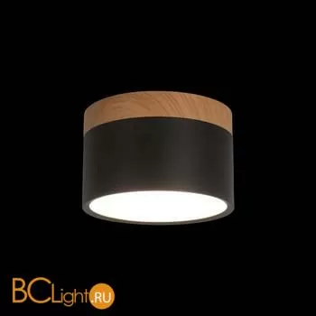 10162 Black Накладной светильник LOFT IT Grape - Фото 0