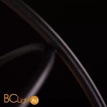 Люстра LOFT IT Izolda LOFT1192-4 - Фото 5