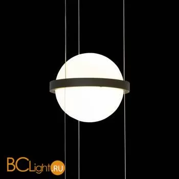 10121/B Подвесной светильник LOFT IT Jardin - Фото 2