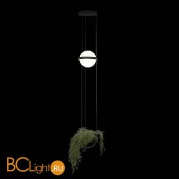 10121/B Подвесной светильник LOFT IT Jardin - Фото 0