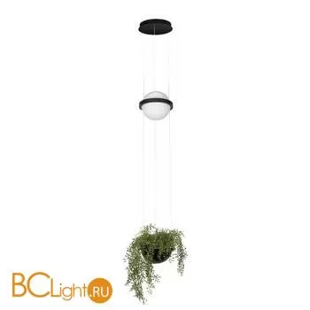 10121/B Подвесной светильник LOFT IT Jardin