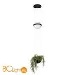 10121/B Подвесной светильник LOFT IT Jardin