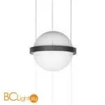 10121/B Подвесной светильник LOFT IT Jardin - Фото 1