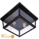 Потолочный светильник LOFT IT Lidia LOFT3110-2C