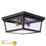 Потолочный светильник LOFT IT Lidia LOFT3110-2C - Фото 0