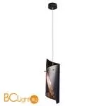 Подвесной светильник LOFT IT Marta 1012-SBG - Фото 0