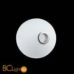 Потолочный светильник LOFT IT Matisse 10008/1C white - Фото 1