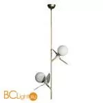Подвесной светильник LOFT IT Matisse 10008/2P Grey