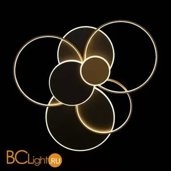 10163 Black Потолочный светильник LOFT IT Megan - Фото 4