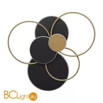 10163 Black Потолочный светильник LOFT IT Megan - Фото 3