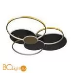 10163 Black Потолочный светильник LOFT IT Megan