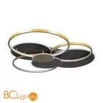 10163 Black Потолочный светильник LOFT IT Megan - Фото 1