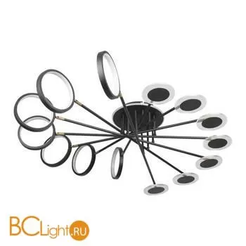 10164L Black Потолочный светильник LOFT IT Megan
