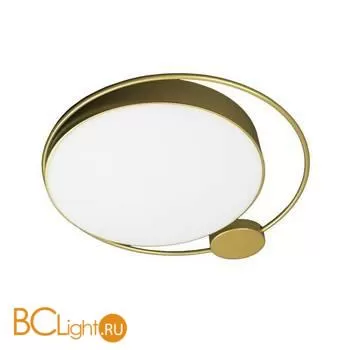 10063 Светильник потолочный LOFT IT Mike