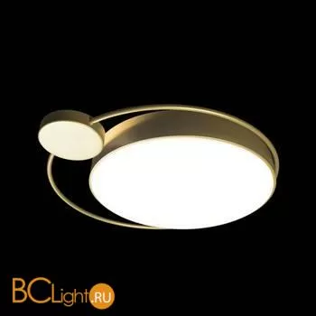 10063 Светильник потолочный LOFT IT Mike - Фото 3