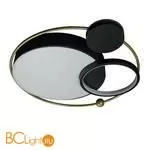 Потолочный светильник LOFT IT Mike 10064