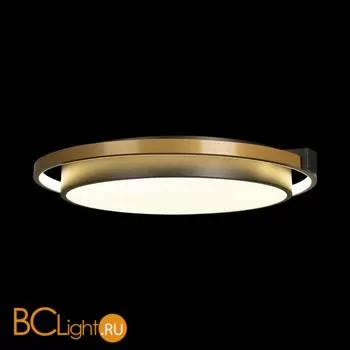 10170 Потолочный светильник LOFT IT Mike - Фото 2