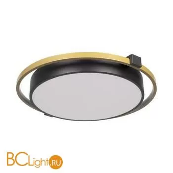 10170 Потолочный светильник LOFT IT Mike