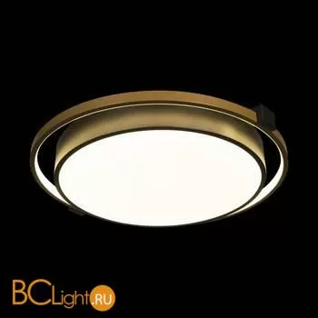 10170 Потолочный светильник LOFT IT Mike - Фото 0