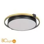 10170 Потолочный светильник LOFT IT Mike