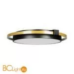 10170 Потолочный светильник LOFT IT Mike - Фото 1