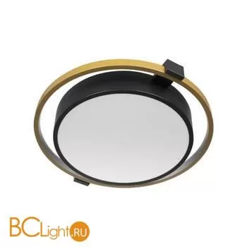 Потолочный светильник LOFT IT mike 10169