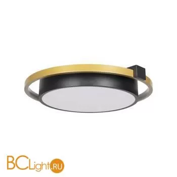 Потолочный светильник LOFT IT mike 10169 - Фото 1