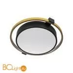 Потолочный светильник LOFT IT mike 10169