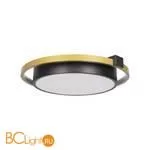 Потолочный светильник LOFT IT mike 10169 - Фото 1