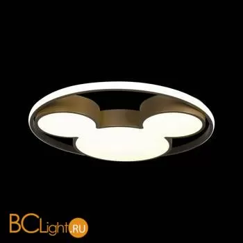 10168 Потолочный светильник LOFT IT Mike - Фото 2