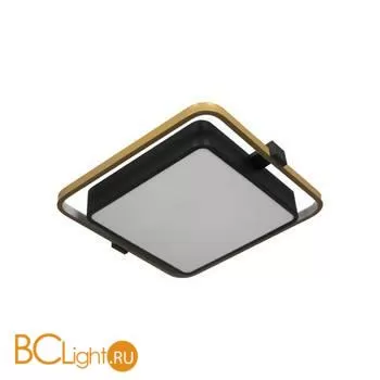 10171 Потолочный светильник LOFT IT Mike