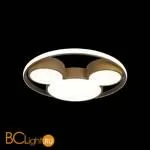 10167 Потолочный светильник LOFT IT Mike - Фото 2