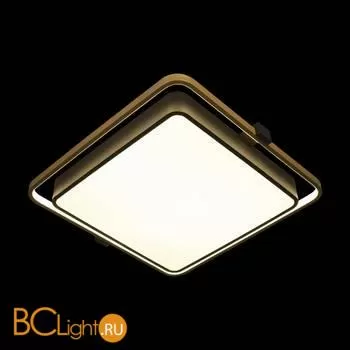 Потолочный светильник LOFT IT mike 10172 - Фото 0