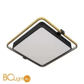 Потолочный светильник LOFT IT mike 10172