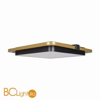 Потолочный светильник LOFT IT mike 10172 - Фото 1