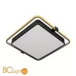 Потолочный светильник LOFT IT mike 10172