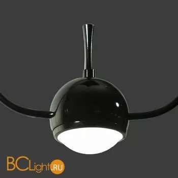 Подвесной светильник LOFT IT Nuance 8140-B - Фото 4