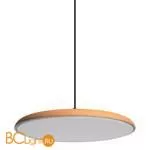 10119 Orange Подвесной светильник LOFT IT Plato - Фото 1