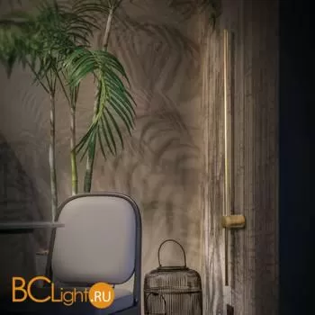 Настенный светильник LOFT IT Rays 10158GD - Фото 3