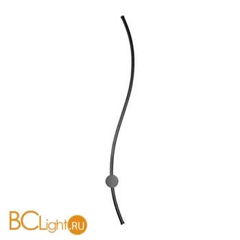 Настенный светильник LOFT IT Rays 10153 BK